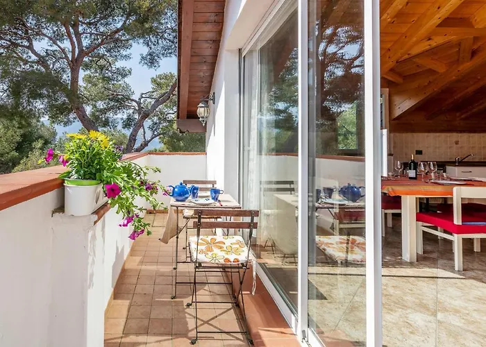 Amazing In